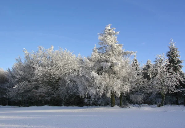 Schneebedeckte Winterlandschaft — Stockfoto