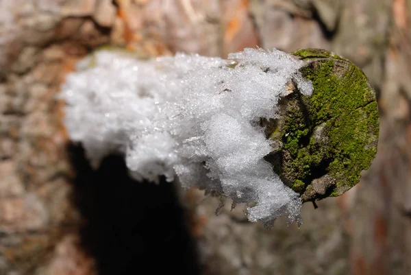 Vista Una Escena Invierno — Foto de Stock