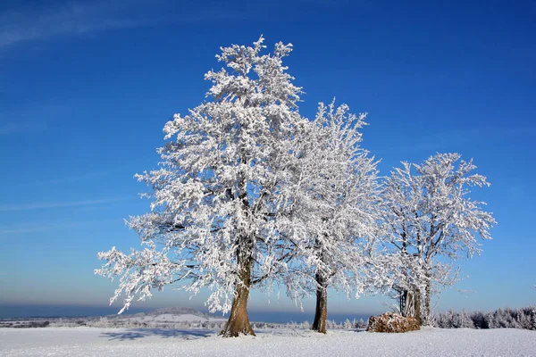 Kleurrijke Achtergrond Voor Kerst Nieuwjaar Vakantie Kaart — Stockfoto