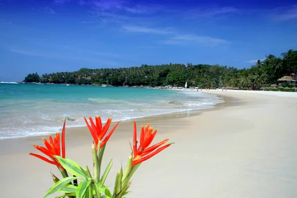 Praia Tropical Com Areia Branca Água Azul Turquesa — Fotografia de Stock