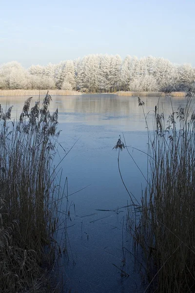 Blick Auf Eine Winterszene — Stockfoto