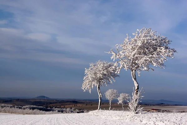 Hermosa Vista Del Paisaje Invierno —  Fotos de Stock