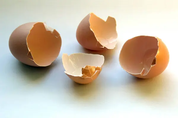 Eggshells Conchas Naturales Huevo —  Fotos de Stock