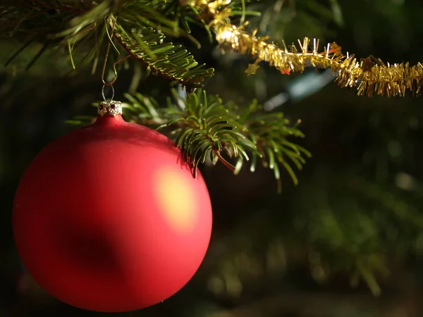 クリスマスの飾りを背景にして — ストック写真