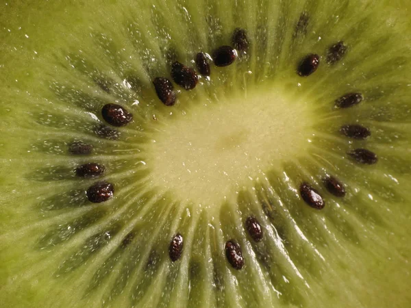 Grüne Kiwi Tropische Früchte — Stockfoto