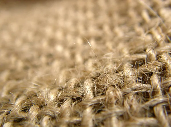 Пшеничне Поле Великою Кількістю Стиглих Вух — стокове фото