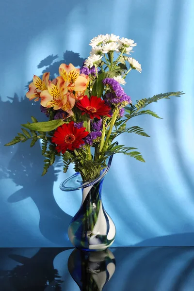 Flores Flora Botânica Conceito — Fotografia de Stock