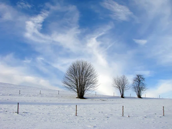 Bella Vista Del Paesaggio Naturale — Foto Stock