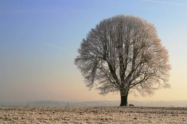 天気が非常に多くの可能性を秘めている時には — ストック写真