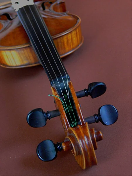 Violino Instrumento Musical Close — Fotografia de Stock