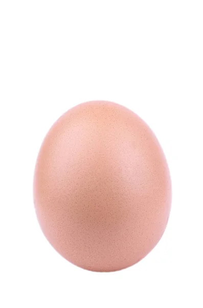 Αυγό Απομονωμένο Λευκό Φόντο — Φωτογραφία Αρχείου