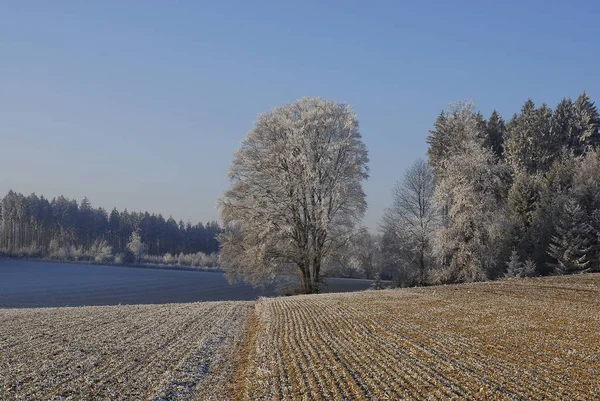 Bavarese Bella Terra Della Germania — Foto Stock