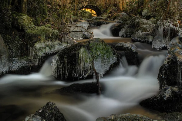 Córrego Floresta Negra Inverno — Fotografia de Stock
