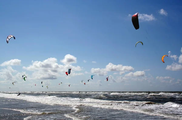 Kites Peter Ording – stockfoto