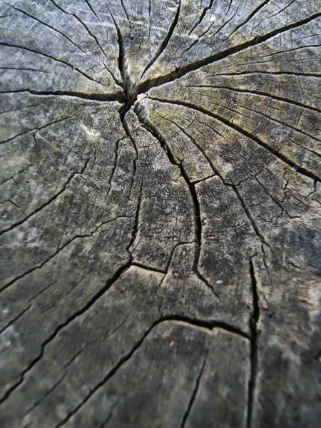 Materiaal Hout Structuur Achtergrond — Stockfoto