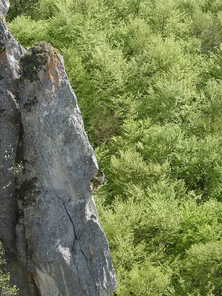 Valle Danube Trepador Peñascos Pináculo Occidental — Foto de Stock