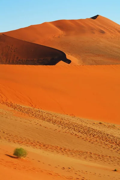 Táj Namíbia Sivatagban — Stock Fotó