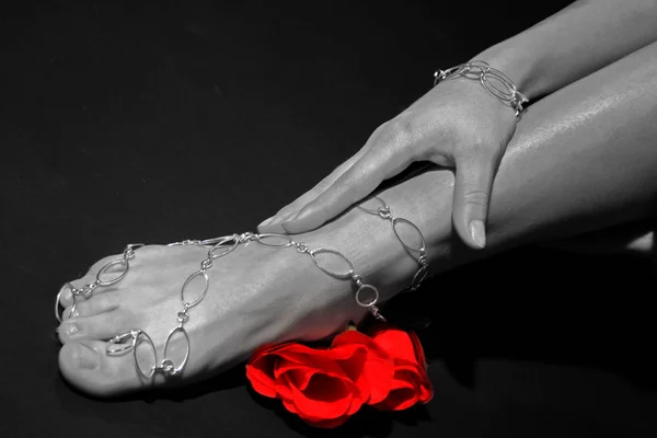 Photo Noir Blanc Main Une Femme Tenant Une Rose — Photo