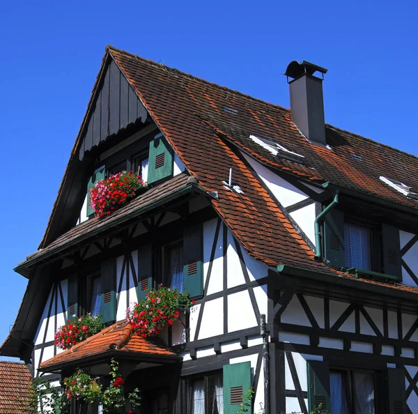 Tudor Stílusú Ház Fekete Erdőben — Stock Fotó