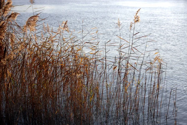 Autumnal Atmosphere Selective Focus — Stock Photo, Image