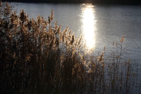 Prachtig Uitzicht Het Natuurlandschap — Stockfoto