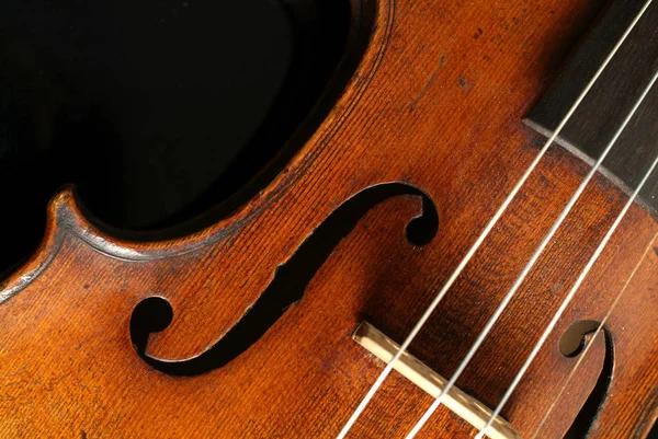 Violin Musikinstrument Närbild — Stockfoto