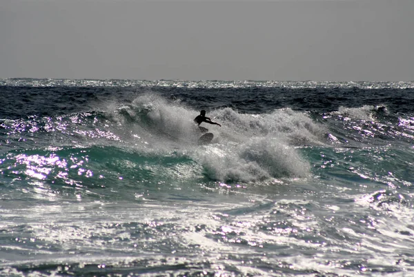 Deporte Acuático Verano Windsurf — Foto de Stock