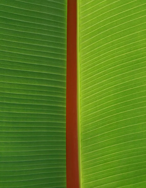 Estruturas Verde Vermelho — Fotografia de Stock