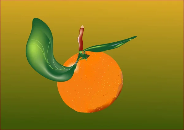 Вектор Иллюстрация Свежий Апельсин — стоковое фото