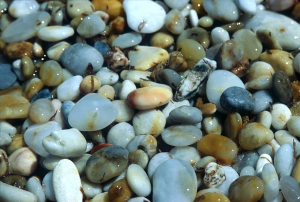 Pedras Junto Mar — Fotografia de Stock