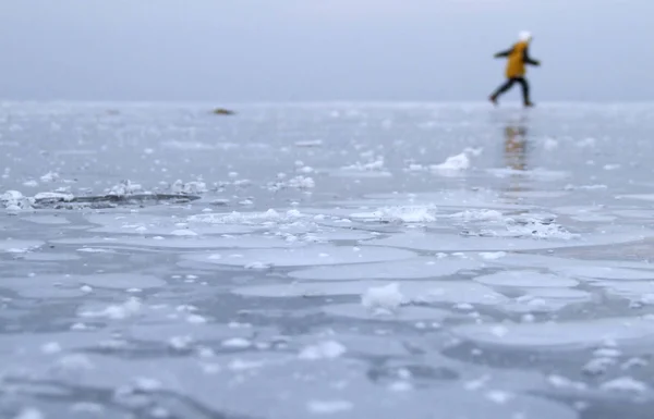 Vista Una Scena Invernale — Foto Stock