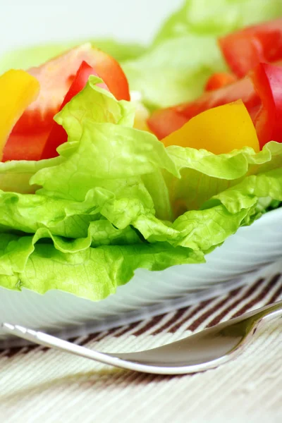 Verse Salade Met Een Vork — Stockfoto