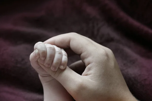 Schattig Familieportret Gelukkig Ouderschap Concept — Stockfoto