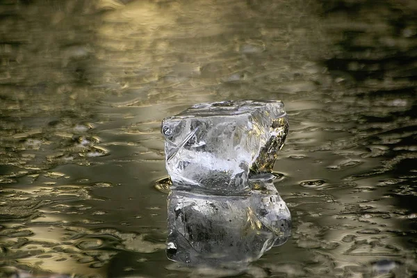 Cubitos Hielo Superficie Del Río —  Fotos de Stock