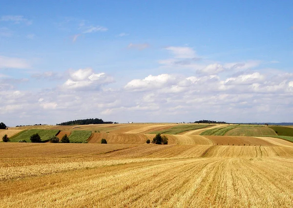 Feldernte Dorf Landwirtschaftliche Landwirtschaft — Stockfoto