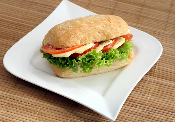 Primo Piano Panino Saporito — Foto Stock