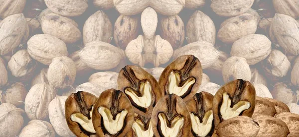 Vlašské Ořechy Hnědé Ořechy Jídlo — Stock fotografie