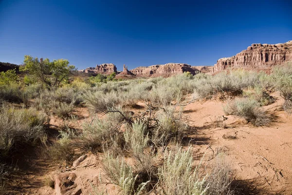 Dolina Bogów Arizona Usa — Zdjęcie stockowe