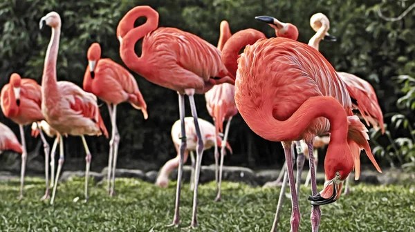 Schilderachtig Uitzicht Prachtige Vogel Natuur — Stockfoto