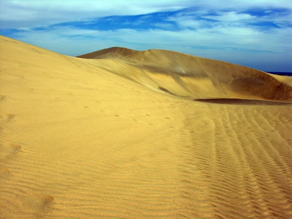 Vue Panoramique Des Dunes Mise Point Sélective — Photo