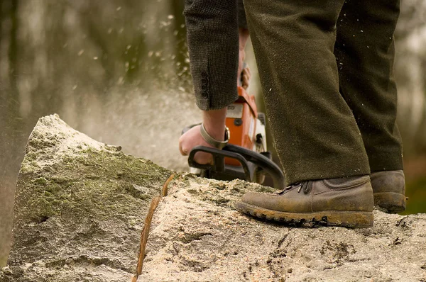 Hombre Con Talabartería Cortando Leña Bosque —  Fotos de Stock