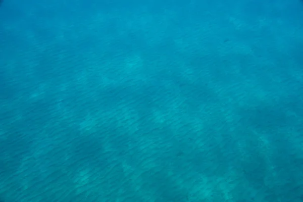 Morskie Tapety Tematyczne Podwodne Strzał — Zdjęcie stockowe