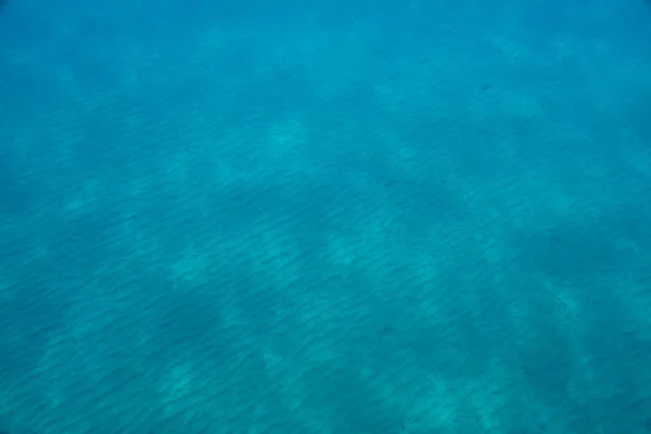 Fondo Pantalla Tema Marino Tiro Bajo Agua — Foto de Stock