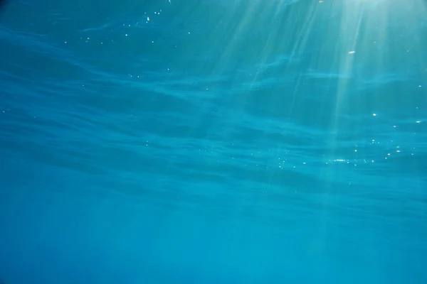 Fondo Pantalla Tema Marino Tiro Bajo Agua — Foto de Stock