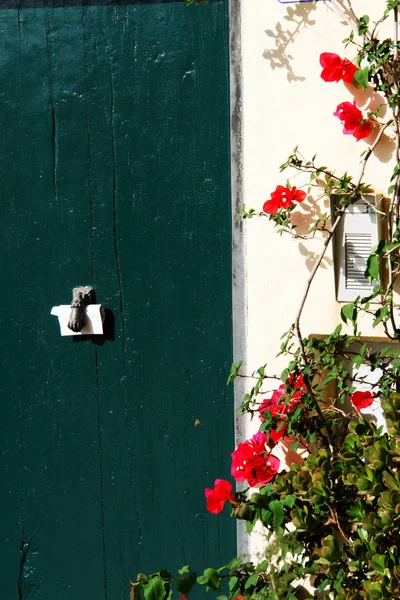 Ventana Vieja Con Flores Plantas — Foto de Stock