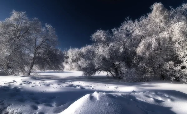 Bunter Hintergrund Für Weihnachten Oder Neujahr Urlaubskarte — Stockfoto