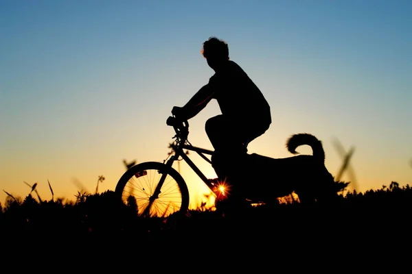 Silhouette Eines Mannes Und Einer Frau Auf Einem Fahrrad Bei — Stockfoto