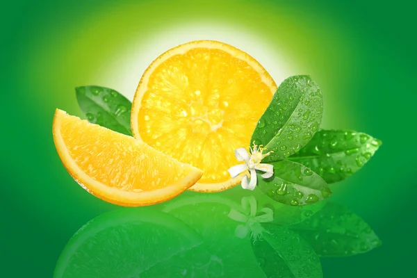 Närbild Citrusfrukter — Stockfoto