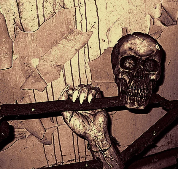 Schädel Und Knochen Menschlicher Schädel — Stockfoto