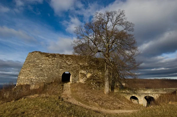 Живописный Вид Красивую Средневековую Крепость — стоковое фото